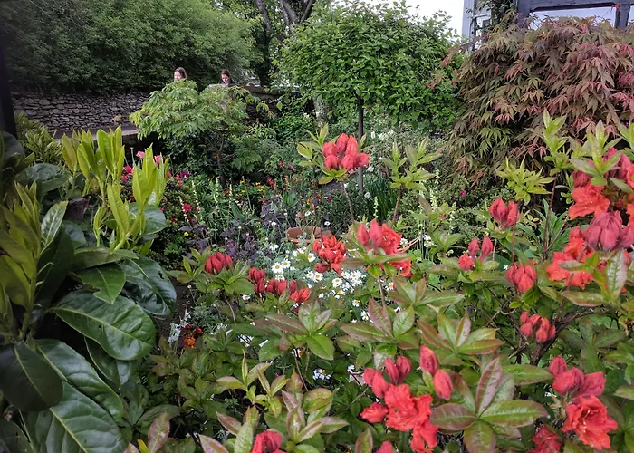 1 Park Road Bed & Breakfast Kendal